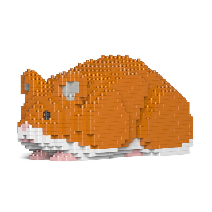 Hamster 02-M03 