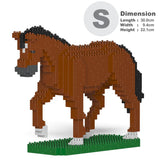 Caballo 02-M01 