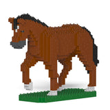 Horse 02-M01