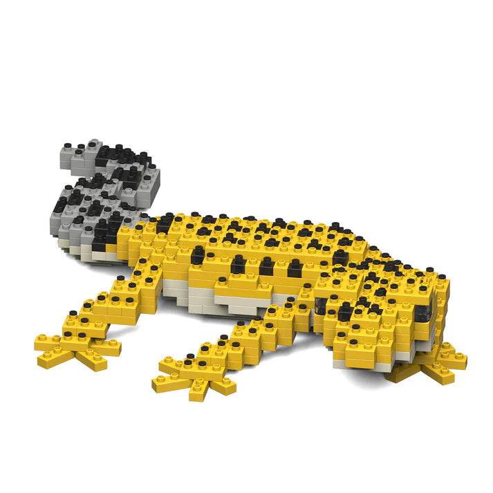 Gecko leopardo 01 