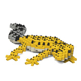 Gecko leopardo 01 