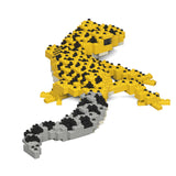 Gecko leopardo 01 