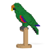 Eclectus 02S 