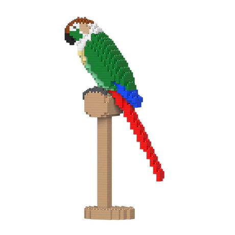 Green Cheek Conure 01S-M01