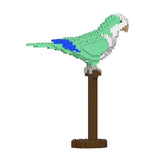 Quaker Parrot 01S-M01