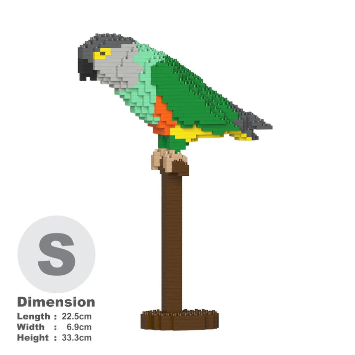 Loro senegalés 01S 