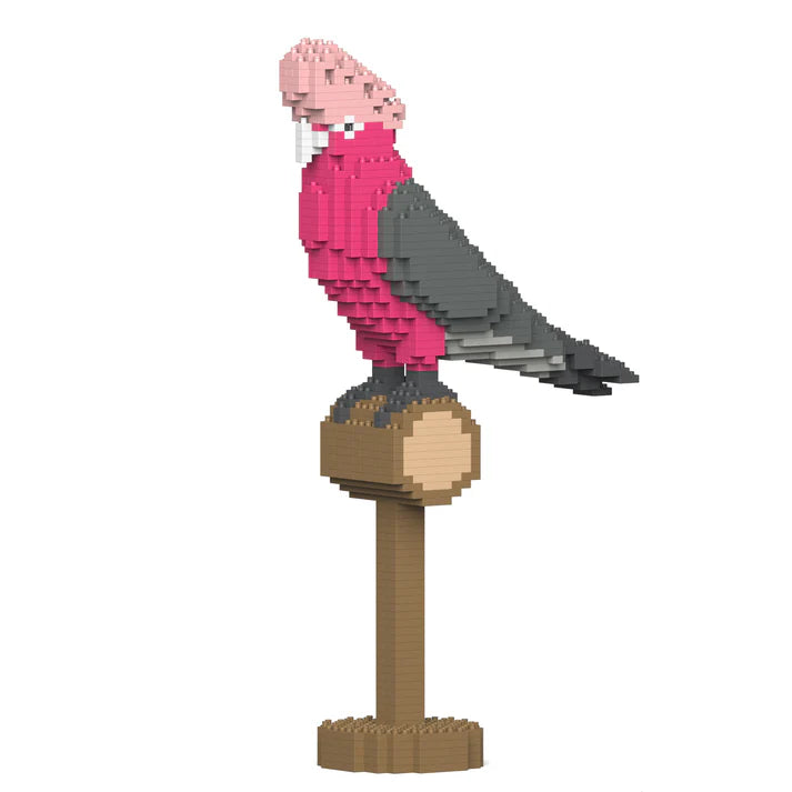 Galah 01S 