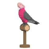 Galah 01S