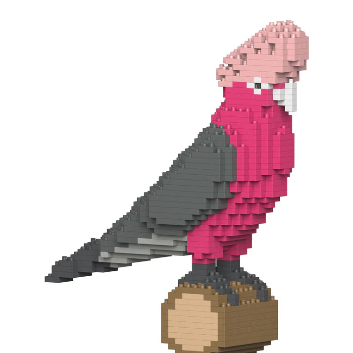 Galah 01S 