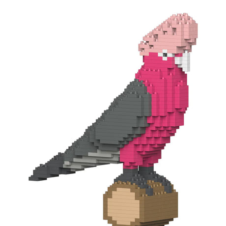 Galah 01S