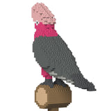 Galah 01S