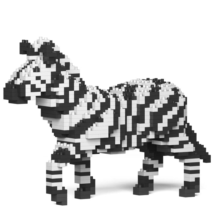 Zebra 01 