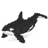 Killer Whale 01