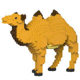 Camel 01