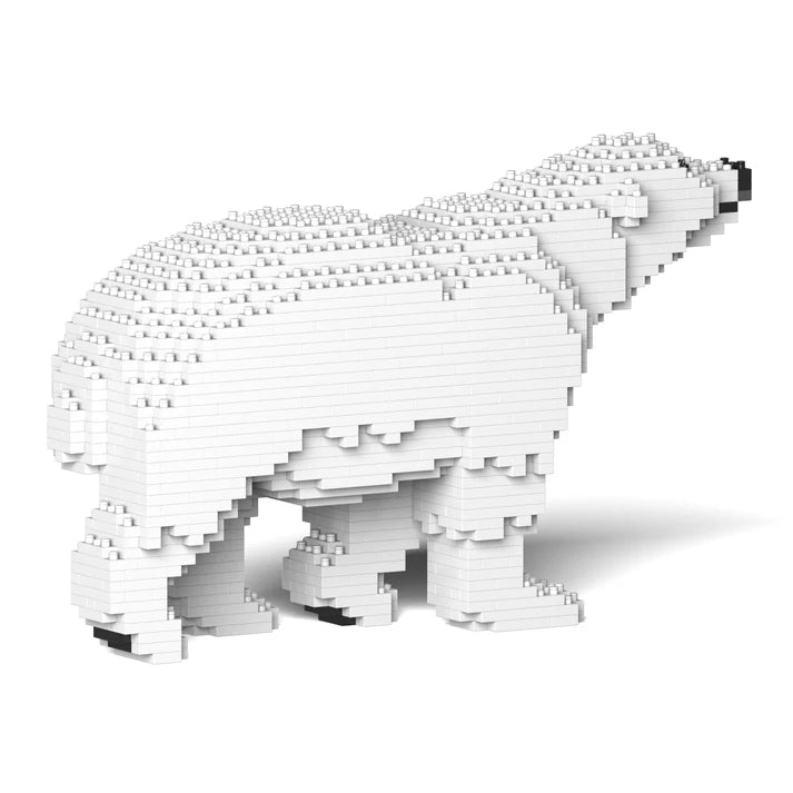 Polar Bear 01