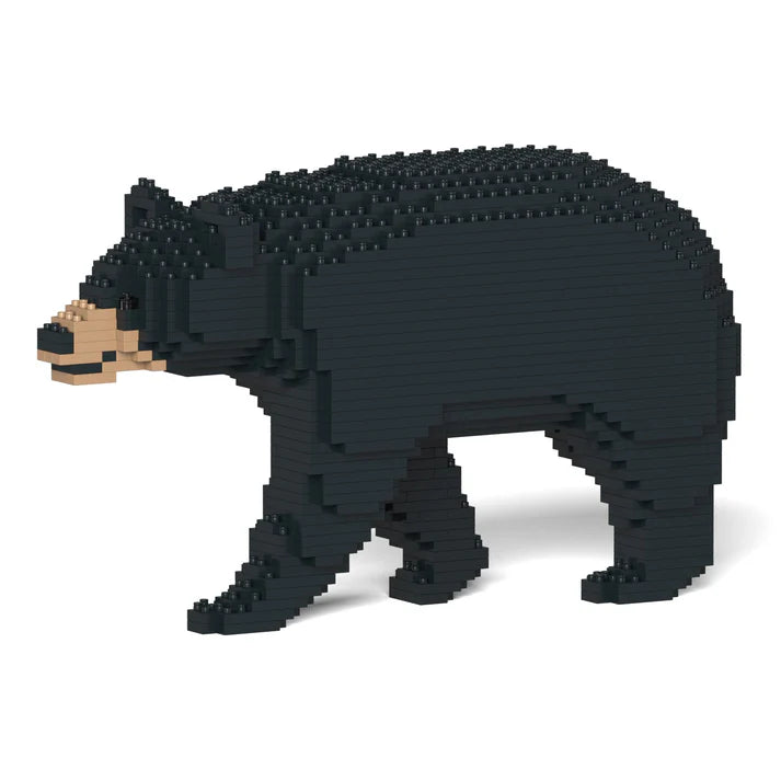 Schwarzbär 01 