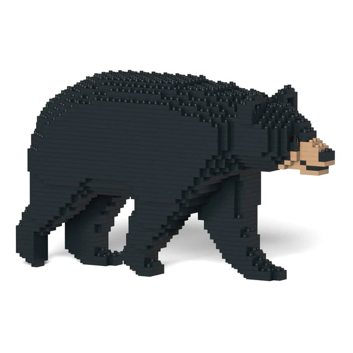 Schwarzbär 01 