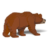 Brown Bear 01