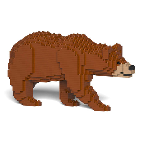 Brown Bear 01