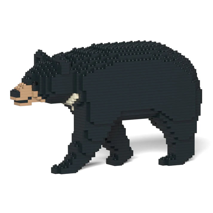 Formosan Black Bear 01