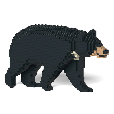 Formosan Black Bear 01