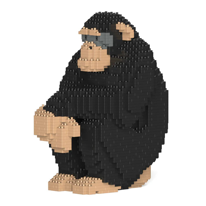 Chimpancé 01 