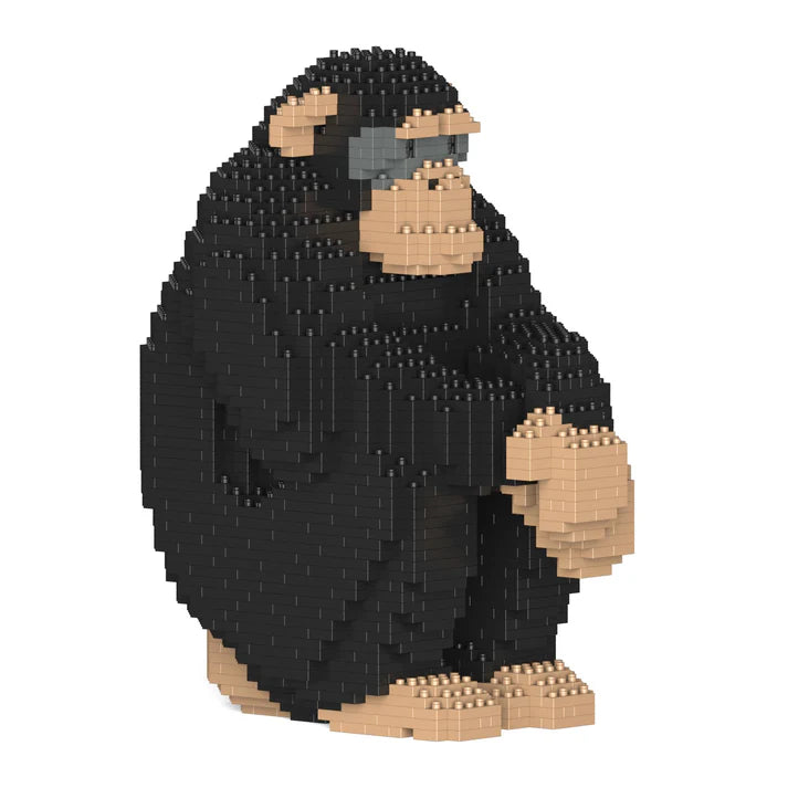 Chimpancé 01 