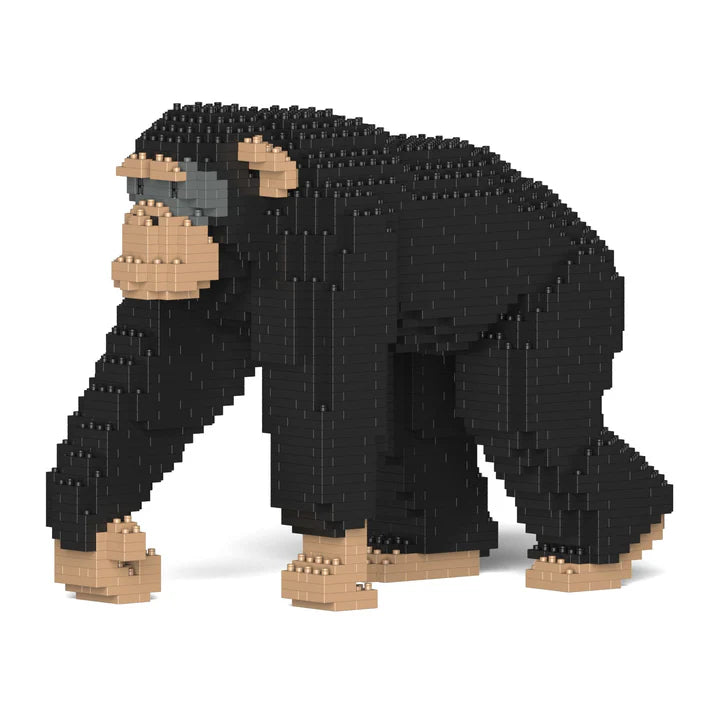 Chimpancé 02 