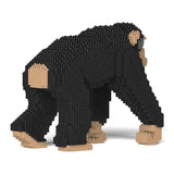 Chimpanzee 02