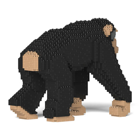 Chimpancé 02 