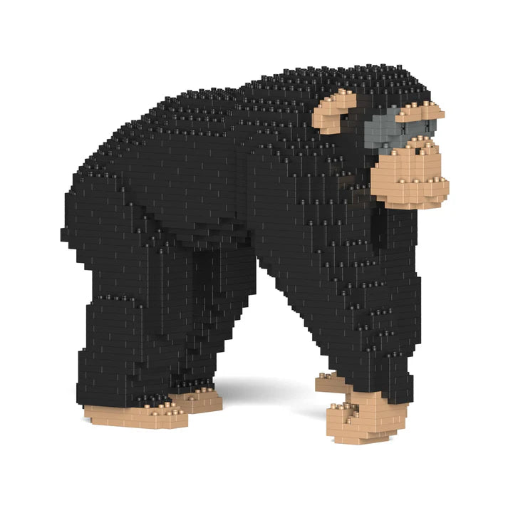 Chimpancé 02 