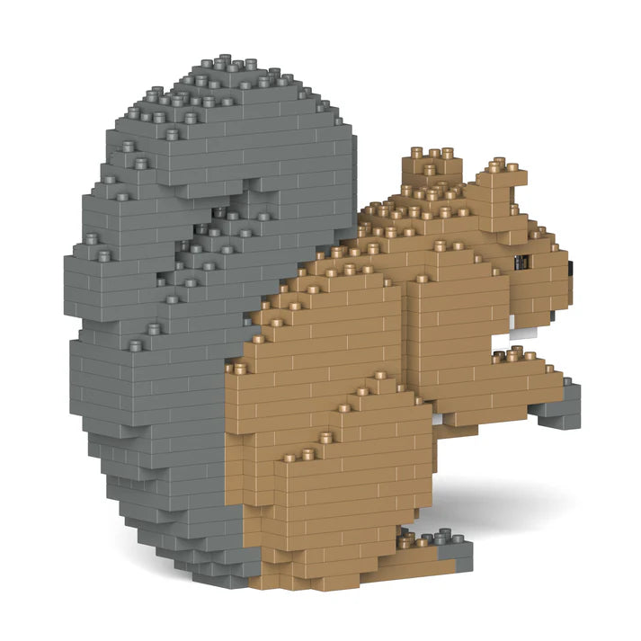 Squirrel 01