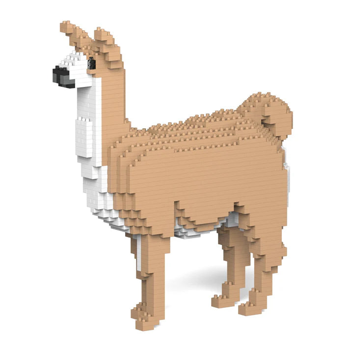 Llama 01 