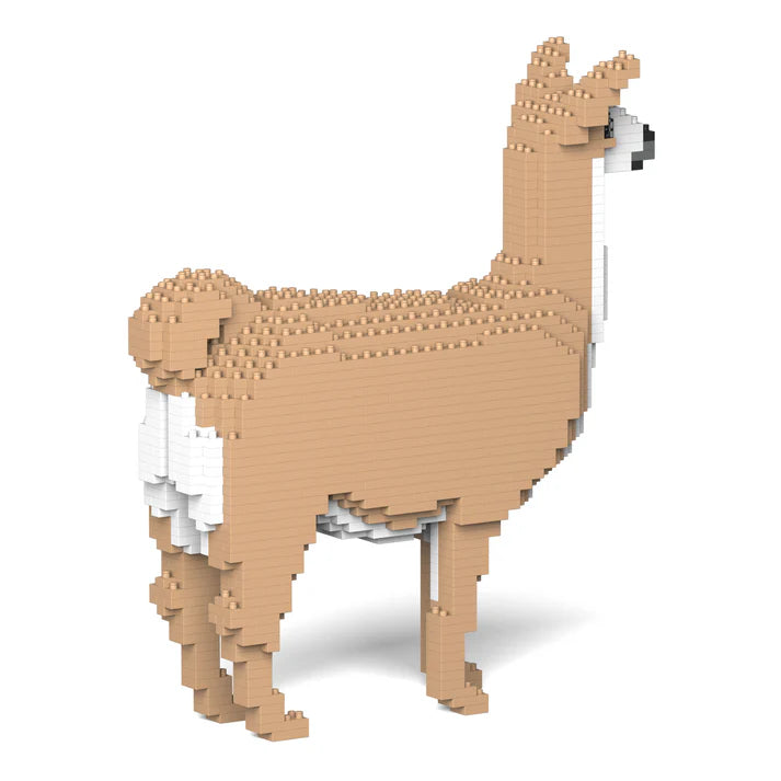 Llama 01