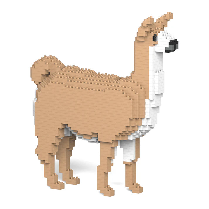 Llama 01