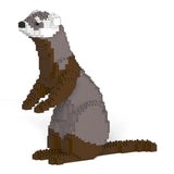 Ferret 01