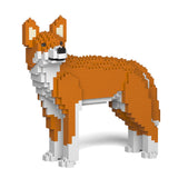 Dingo 01 