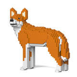 Dingo 01