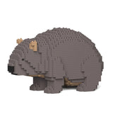 Wombat 01 