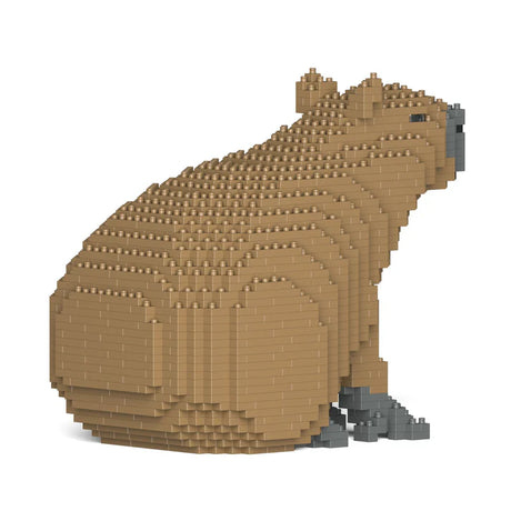 Capibara 01 