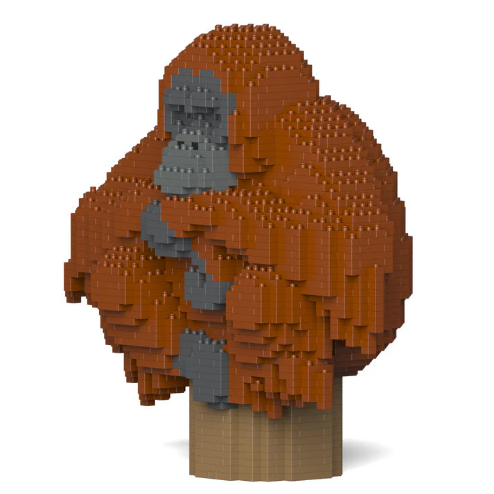 Orang-Utan 01 