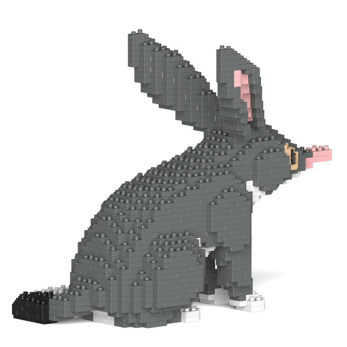 Bilby 01 