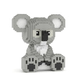 Koala 02 