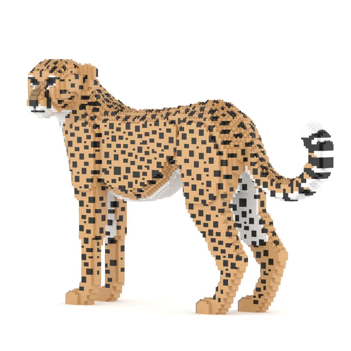 Cheetah 01