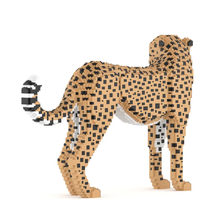 Cheetah 01