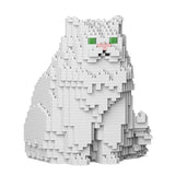 Persian Cat 01S-M01