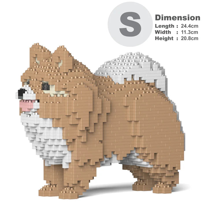 Pomeranian 02-M01