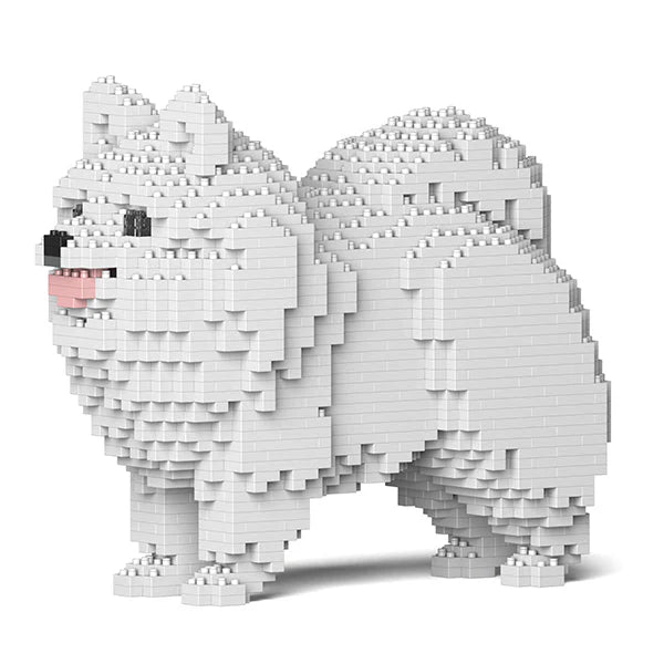 Pomeranian 02-M02