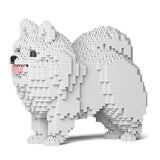 Pomeranian 02-M02