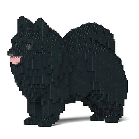 Pomeranian 02-M03